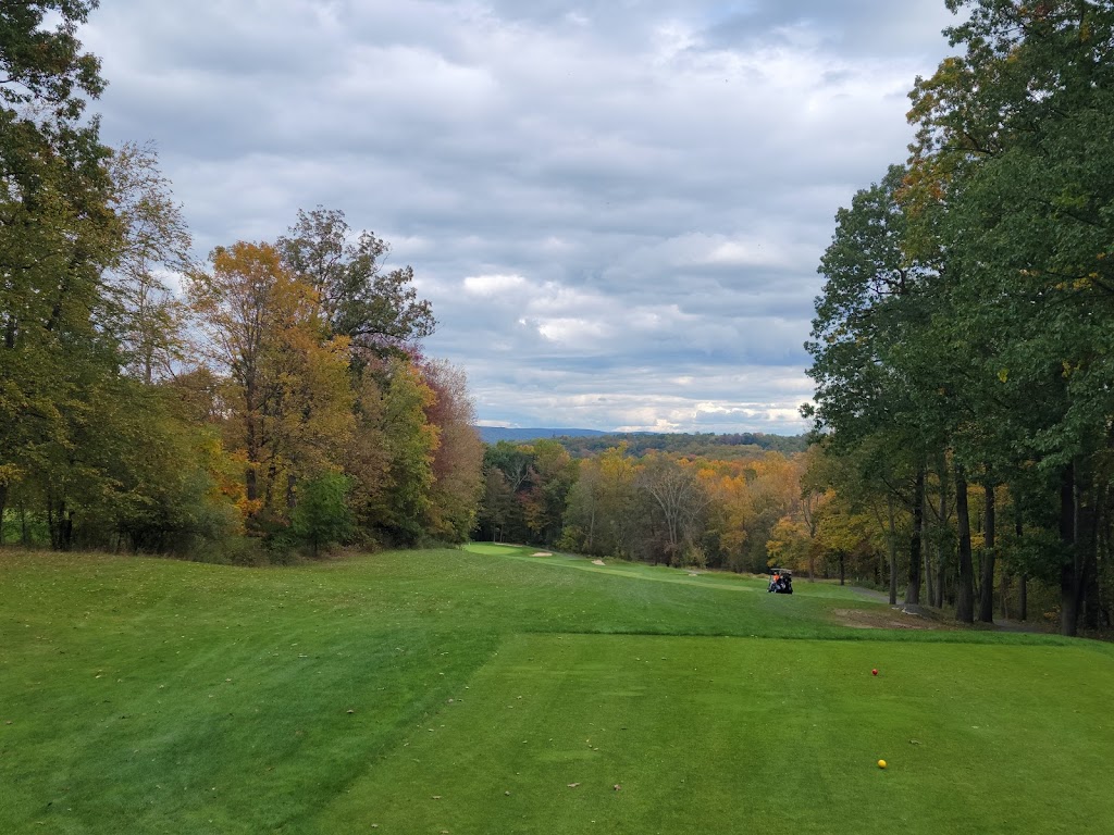 Panoramic view of a lush green golf course at Darlington Golf Course. Smooth