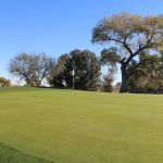 green grass with the flag in the hole.