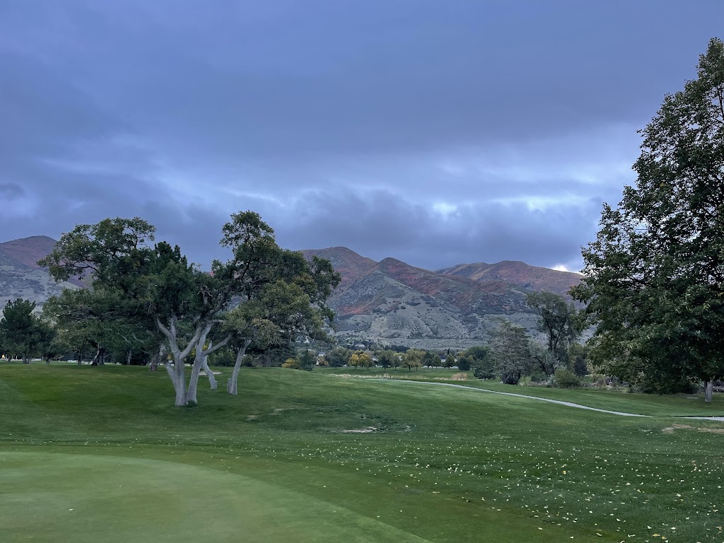 Panoramic view of a lush green golf course at Davis Park Golf Course. Smooth