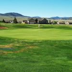 green grass with the flag in the hole.
