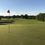 green grass with the flag in the hole.