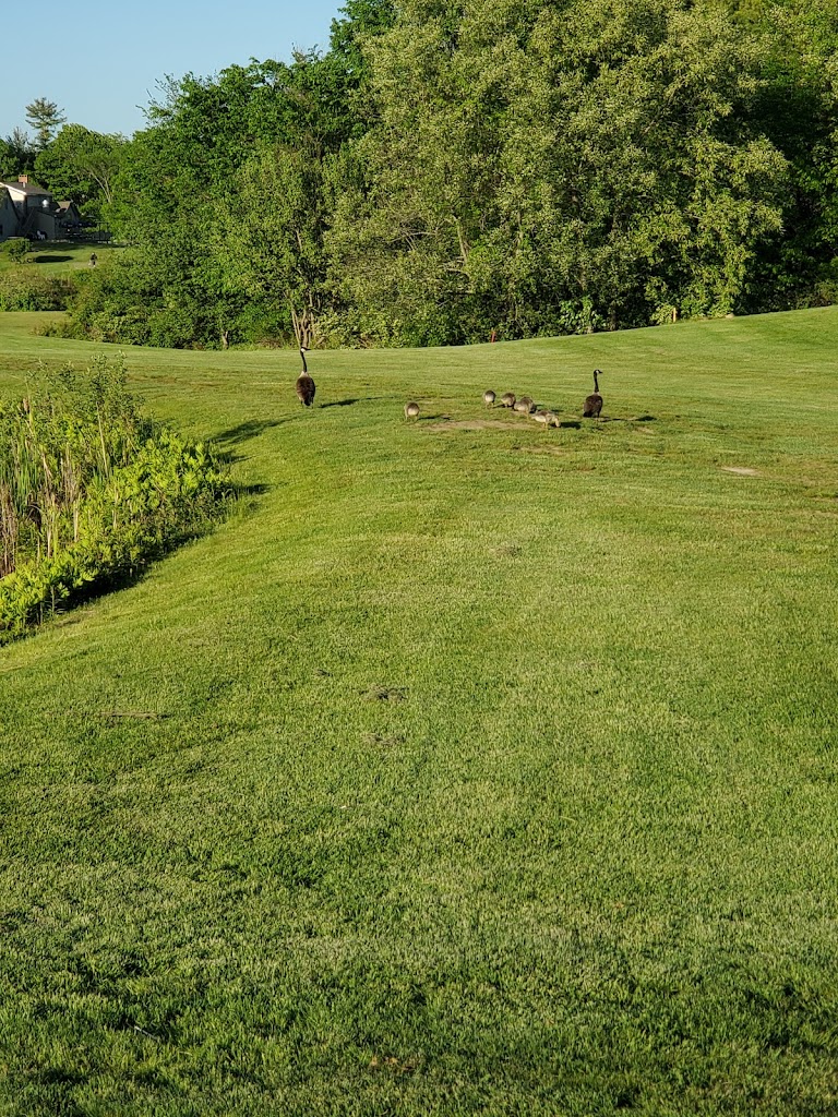 Panoramic view of a lush green golf course at Deep Brook Golf Course. Smooth