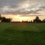green grass with the flag in the hole.