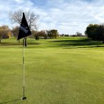 green grass with the flag in the hole.