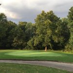 green grass with the flag in the hole.