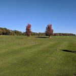 green grass with the flag in the hole.