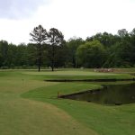 green grass with the flag in the hole.