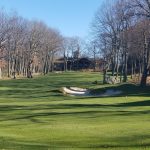 green grass with the flag in the hole.