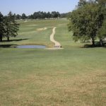 green grass with the flag in the hole.