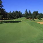 green grass with the flag in the hole.