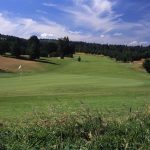 Panoramic view of a lush green golf course at Diamond Woods Golf Course. Smooth
