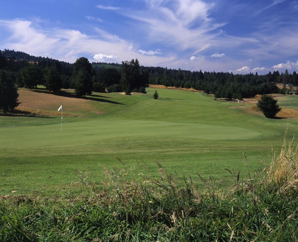 Panoramic view of a lush green golf course at Diamond Woods Golf Course. Smooth