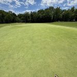green grass with the flag in the hole.