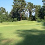 green grass with the flag in the hole.
