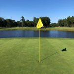 green grass with the flag in the hole.