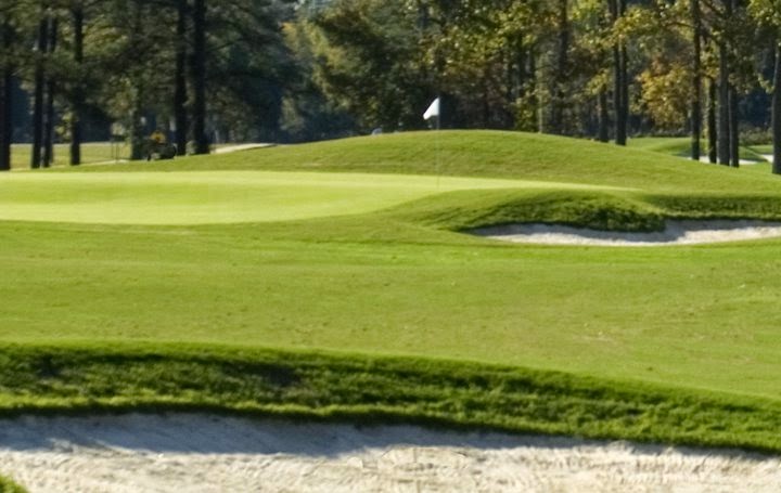 Panoramic view of a lush green golf course at Dogwood Trace Golf Course. Smooth