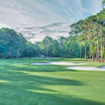green grass with the flag in the hole.