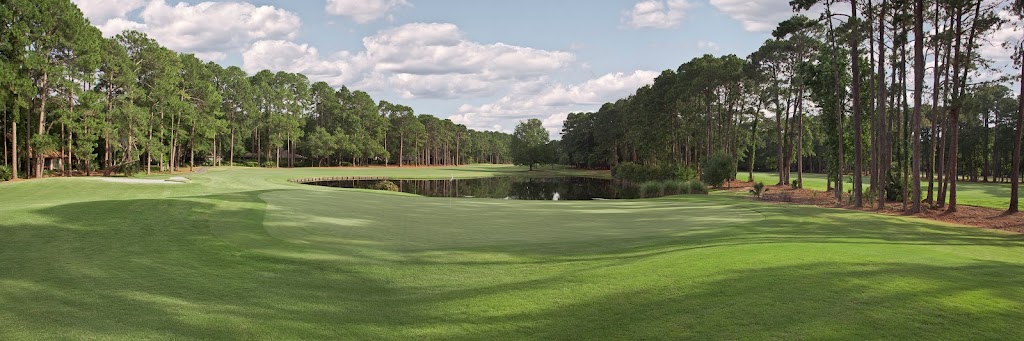 Panoramic view of a lush green golf course at Dolphin Head Golf Club. Smooth