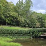Panoramic view of a lush green golf course at Dorchester Golf Club. Smooth