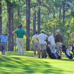 green grass with the flag in the hole.