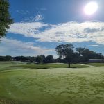 Panoramic view of a lush green golf course at Dornick Hills Golf & Country. Smooth