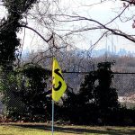 green grass with the flag in the hole.