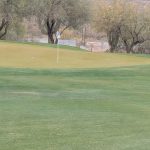 green grass with the flag in the hole.