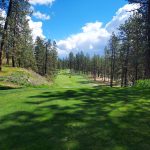 Panoramic view of a lush green golf course at Downriver Golf Course. Smooth