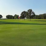 green grass with the flag in the hole.