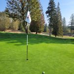 green grass with the flag in the hole.