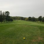 green grass with the flag in the hole.