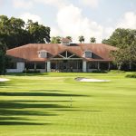green grass with the flag in the hole.