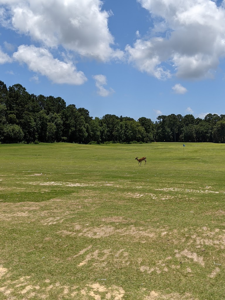 Panoramic view of a lush green golf course at Dunes West Golf and River Club. Smooth