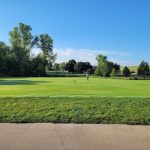 green grass with the flag in the hole.