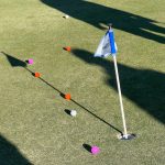 green grass with the flag in the hole.