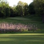 Panoramic view of a lush green golf course at Eagle Glen Golf Club. Smooth