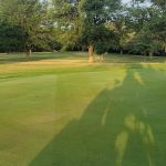 green grass with the flag in the hole.