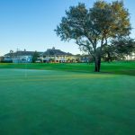 green grass with the flag in the hole.
