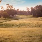 Panoramic view of a lush green golf course at Eagle Pointe Golf Club. Smooth