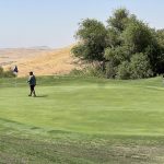 green grass with the flag in the hole.
