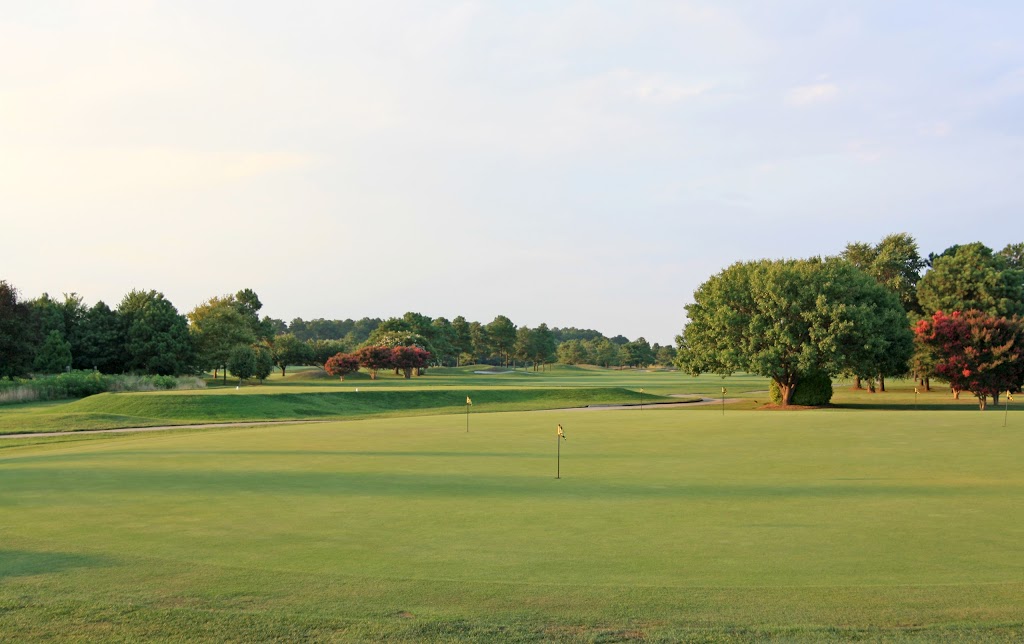Panoramic view of a lush green golf course at Eagle's Landing Golf Course. Smooth