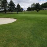 green grass with the flag in the hole.