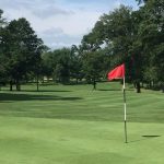 green grass with the flag in the hole.