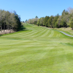 green grass with the flag in the hole.