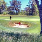 green grass with the flag in the hole.