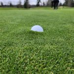 green grass with the flag in the hole.