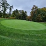 green grass with the flag in the hole.
