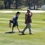 green grass with the flag in the hole.