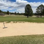 green grass with the flag in the hole.