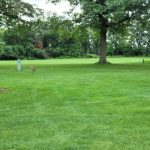 Panoramic view of a lush green golf course at Elbel Park Golf Course. Smooth